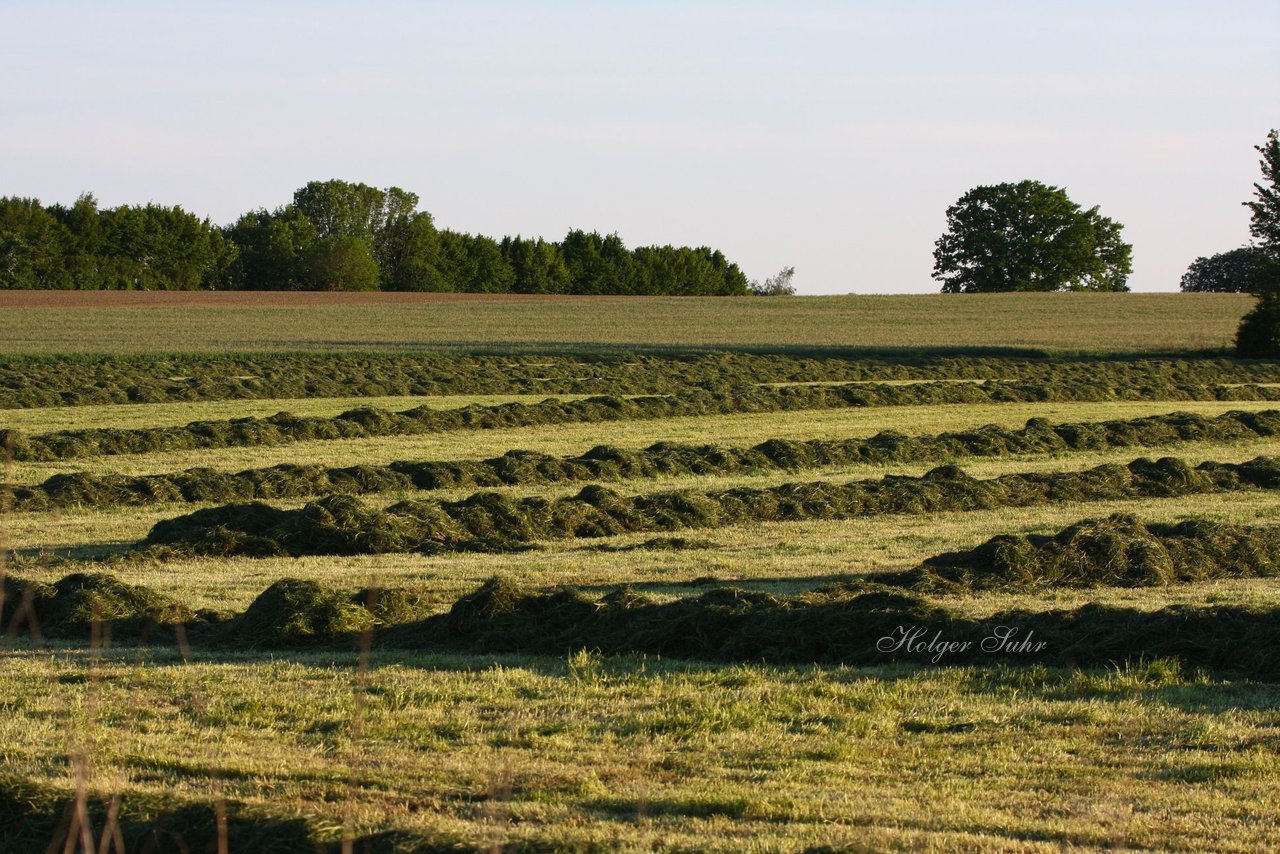 Bild 13 - Abendstimmung 2009